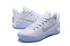 Nike Kobe AD Chrome Blanco Metálico Plata 852425 110
