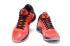 Nike Zoom Kobe V 5 Low All Star Daring Rouge Noir Blanc Chaussures de basket-ball pour hommes 386429-601