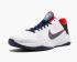 Nike Zoom Kobe V 5 USA aranyérem olimpiai fehér piros kék 386429-103