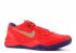 Zoom Kobe 8 Ext Year Of The Snaker Rosso Viola Crt University 582554-600