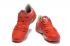 Nike Pánské Basketbalové boty Kobe Venomenon 5 LMTD EP Oranžová Stříbrná 749884 001