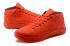 Мужские баскетбольные кроссовки Nike Zoom Kobe XIII 13 AD красные все 852425