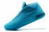 Мужские баскетбольные кроссовки Nike Zoom Kobe XIII 13 AD небесно-голубые все 852425