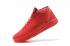 Nike Zoom Kobe XIII 13 ZK 13 Pánské basketbalové boty Chinese Red All