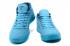 Мужские баскетбольные кроссовки Nike Zoom Kobe XIII 13 ZK 13 небесно-голубые, полностью черные
