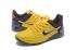 gelb-schwarze Nike Zoom Kobe AD EP Herrenschuhe