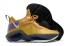 Pánské boty Nike LeBron Soldier XIV 14 EP LA Lakers Purple Gold CK6047-500