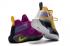Pánské boty Nike LeBron Soldier XIV 14 EP LA Lakers Purple Gold CK6047-500