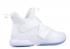 Nike Lebron Soldier 12 Sfg White AO4054-101