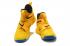 Nike Zoom Lebron Soldier XII 12 EP Yellow AO4053-500