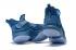 Nike Zoom Lebron Soldier XII 12 Philippine Blue Gold AO4053-403