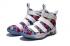 Pánské basketbalové boty Nike Zoom Lebron Soldiers XI 11 white rainbow