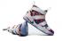 Pánské basketbalové boty Nike Zoom Lebron Soldiers XI 11 white rainbow