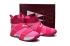 Zapatos de baloncesto Nike Lebron Soldier 10 EP X James Kay Yow Breast Cancer 844375-606