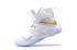 Nike Lebron Soldier 10 SFG EP X James Strive for Greatness White Gold 844379-101