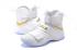 Nike Lebron Soldier 10 SFG EP X James Strive for Greatness White Gold 844379-101