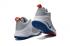 Nike Zoom Witness EP Lebron James Grey Blue Pánské basketbalové boty 884277-004