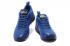 Nike Zoom Witness II 2 Pánské basketbalové boty Royal Blue Silver 852439-401