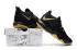Nike Ambassador LBJ 10 Negro Oro AH7580-005