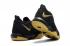 Nike Ambassador LBJ 10 Negro Oro AH7580-005