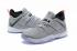 Nike LeBron Ambassador 10 Wolf Grey AH7580 002 ve výprodeji
