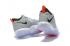 Nike LeBron Ambassador 10 Wolf Grey AH7580 002 En Soldes