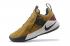 Nike Ambassador LBJ 11 Philippine Marrón Negro AO2920-508