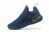Nike Ambassador LBJ 11 Philippine Azul Oscuro Dorado AO2920-408