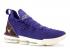 Nike Lebron Xvi King Court Purple Gold Metallic AO2588-500