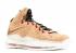 Lebron 10 Ext Cork Quickstrike Classic Brown University 580890-200