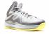 Lebron 10 Yellow Diamond Elctrc Sport Grey Grey Yellow Start 541100-007