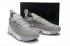 Nike LeBron 16 LBJ16 Gris Blanco AO2595
