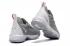 Nike LeBron 16 LBJ16 Gris Blanco AO2595