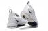 Off White Nike Lebron XVI EP LBJ16 White AO2595