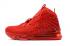 2020 年 Nike Zoom Lebron XVII 17 紅地毯大學紅色詹姆斯籃球鞋 BQ3178-600