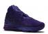Nike Zoom Lebron 17 Bron 2k Purple Court BQ3177-500