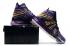 Nike Zoom Lebron XVII 17 Lakers Noir Violet Jaune Or King Chaussures de basket Date de sortie BQ3177-904
