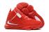 Buty Nike Zoom Lebron XVII 17 University Czerwone New Release James Basketball Shoes BQ3177-610