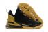 Nike LeBron 18 XVIII Düşük EP Siyah Altın DB7644-007,ayakkabı,spor ayakkabı