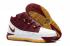 Nike Zoom Lebron 3 III ČTK Christ The King Burgundy Gold BQ2444-100