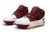 Nike Zoom Lebron 3 III ČTK Christ The King Burgundy Gold BQ2444-100