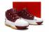 Nike Zoom Lebron 3 III ČTK Christ The King Burgundy Gold BQ2444-100