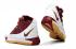 Nike Zoom Lebron 3 III ČTK Christ The King Burgundy Gold BQ2444-100