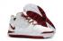 Nike Zoom Lebron III 3 復古白酒紅金屬金籃球鞋 AO2434-106