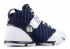 Zoom Lebron 5 Yankees Navy White Midnight 317253-411