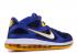 Nike Lebron 9 Low Entourage Royal Gold Mid Navy Game University 510811-402, 신발, 운동화를