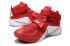 Nike Lebron Soldier IX 9 TB EP Jamens OSU Home Pánské Basketbalové boty Červená Bílá Stříbrná 749500-601