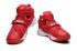 Nike Lebron Soldier IX 9 TB EP Jamens OSU Home Pánské Basketbalové boty Červená Bílá Stříbrná 749500-601
