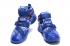 Nike Zoom Lebron Soldier IX 9 QS LMTD Freegums Game Royal 810803-418