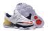 Nike LeBron 13 Low Olympic White University Red Obsidian Metallic Gold 831926 164